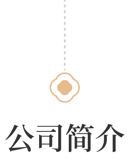 公司简介